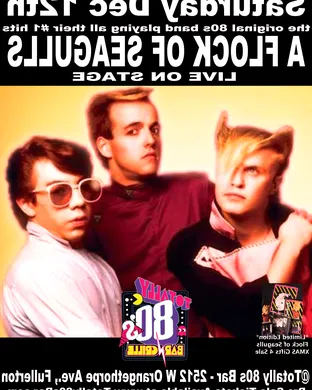 A Flock of Seagulls