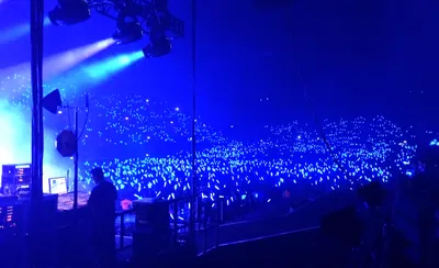 Blue Indeed
