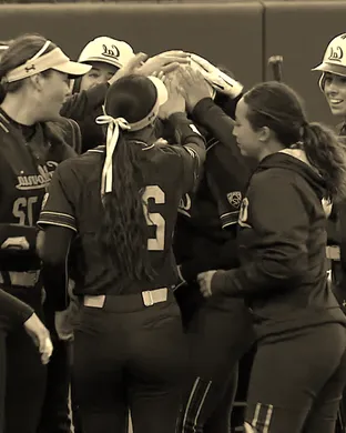 California Golden Bears Softball