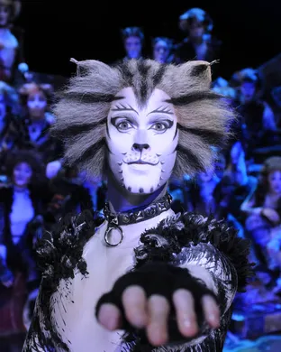 Cats - The Musical Berkeley