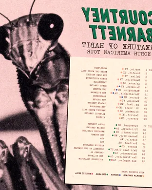 Courtney Barnett San Francisco