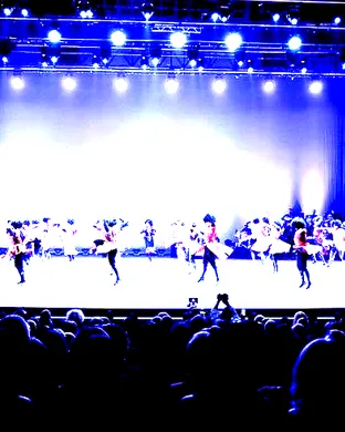 Georgian National Ballet: Sukhishvili