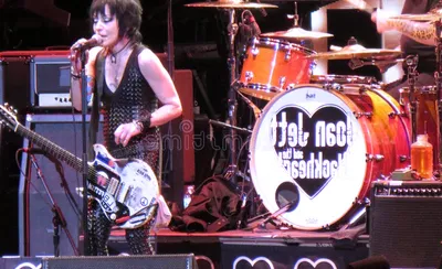 Joan Jett And The Blackhearts