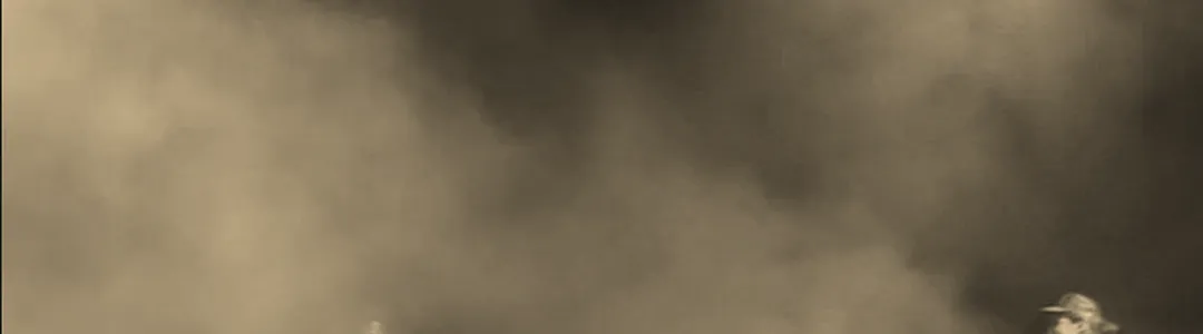 Joji