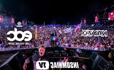 Kayzo