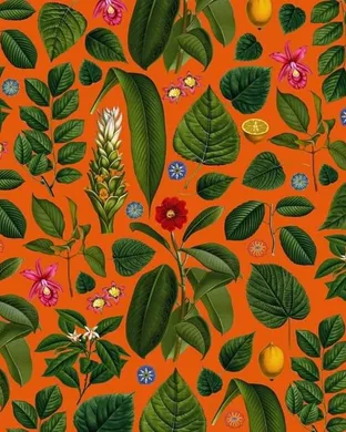 Kings Kaleidoscope San Francisco