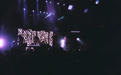 Last Dinosaurs