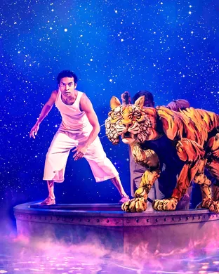 Life of Pi