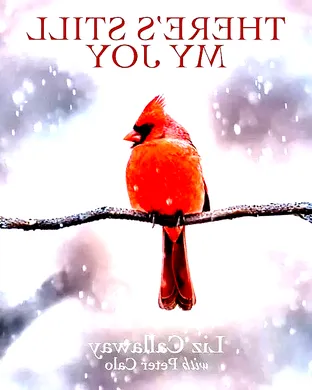 Liz Callaway San Francisco