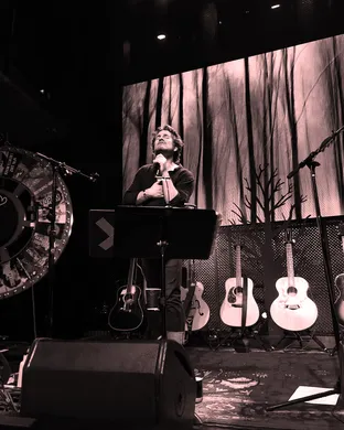 Matt Nathanson