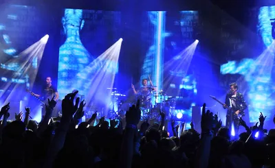 Muse