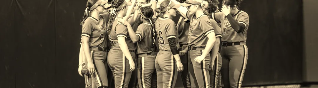 Notre Dame Fighting Irish Softball