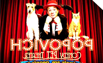Popovich Comedy Pet Theater