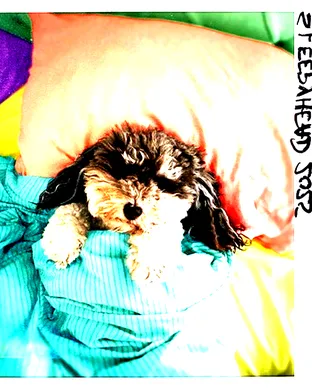 Sofi Tukker Daly City