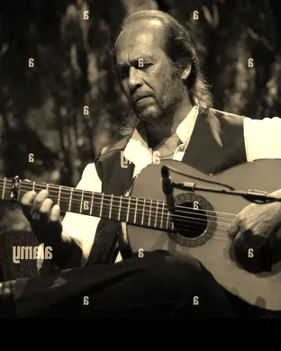 St. Lucia San Francisco