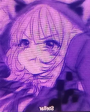 Steller San Francisco