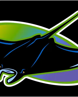 Tampa Bay Rays