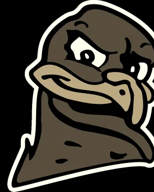 Virginia Tech Hokies