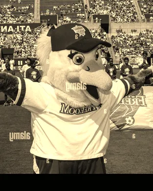 Major League Cricket: Washington Freedom vs. Seattle Orcas sports event