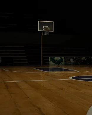 Loyola Marymount Lions Women's Basketball