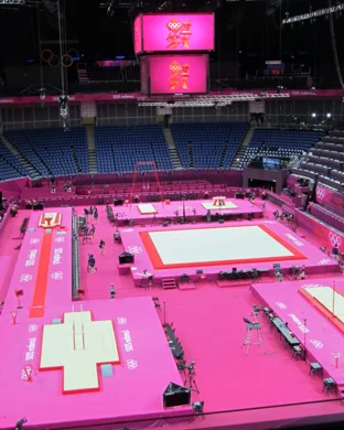 Stanford Cardinal Women's Gymnastics vs. Boise State Broncos sports event