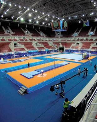 Stanford Cardinal Women's Gymnastics vs. Clemson Tigers