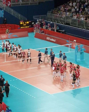 California Golden Bears Volleyball
