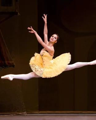 Swan Lake - Symphony of Lights