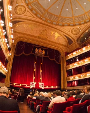 M. Butterfly San Francisco